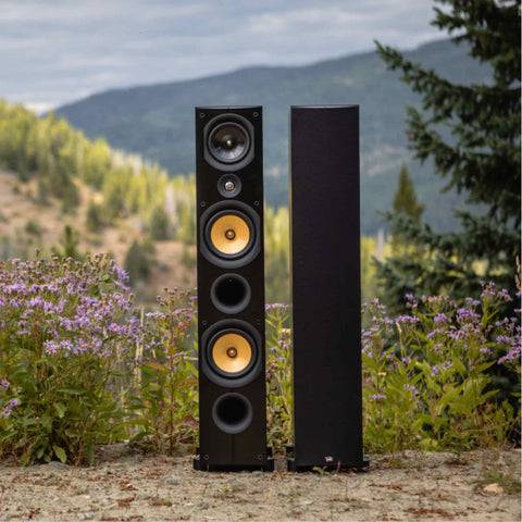 PSBImagineX1T_AudiophileSpeakers_IKOSNZ PSBImagineX1T_AudiophileSpeakers_IKOSNZ