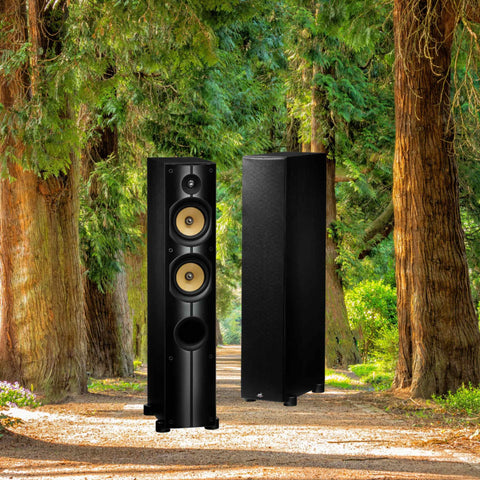 PSBImagineX1T_AudiophileSpeakers_IKOSNZ PSBImagineX1T_AudiophileSpeakers_IKOSNZ